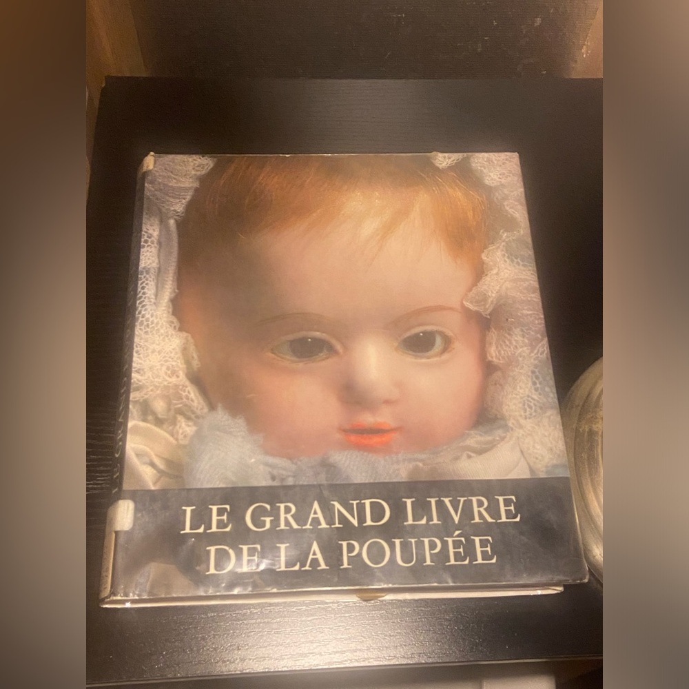 Vintage Le Grand Livre De La Poupee Doll Book #8574